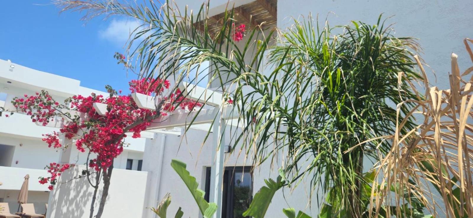 Aegean View Hotel - Adults Only Sfakaki Exterior photo